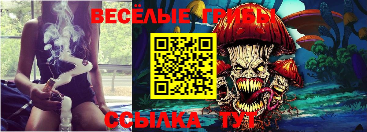 Магнитогорск  Псилоцибиновые грибы Psilocybine cubensis  Вход с VPN  Псилоцибиновые грибы Cubensis 