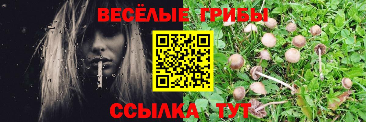 Галлюциногенные грибы GOLDEN TEACHER Магнитогорск